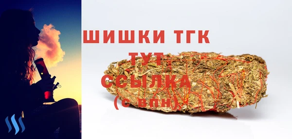 амф Новозыбков
