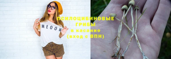 a pvp Новодвинск