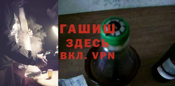 амф Новозыбков