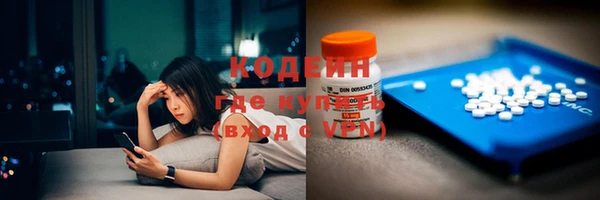 амф Новозыбков