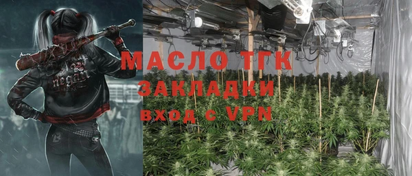 амф Новозыбков