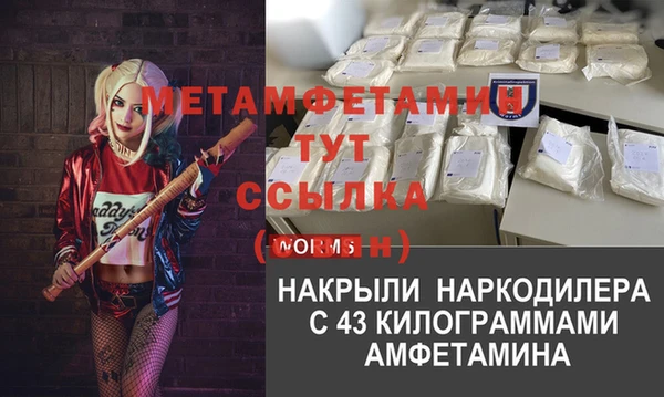 амф Новозыбков