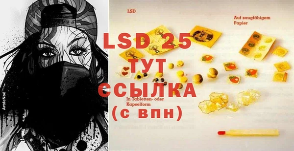 a pvp Новодвинск