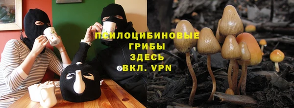 амф Новозыбков