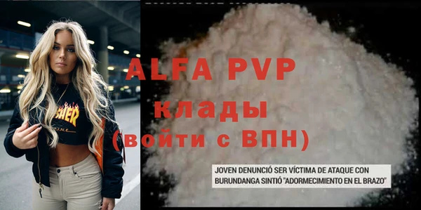 амф Новозыбков