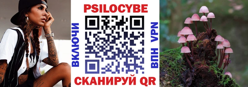 Галлюциногенные грибы Psilocybine cubensis блэк спрут рабочий сайт Пучеж